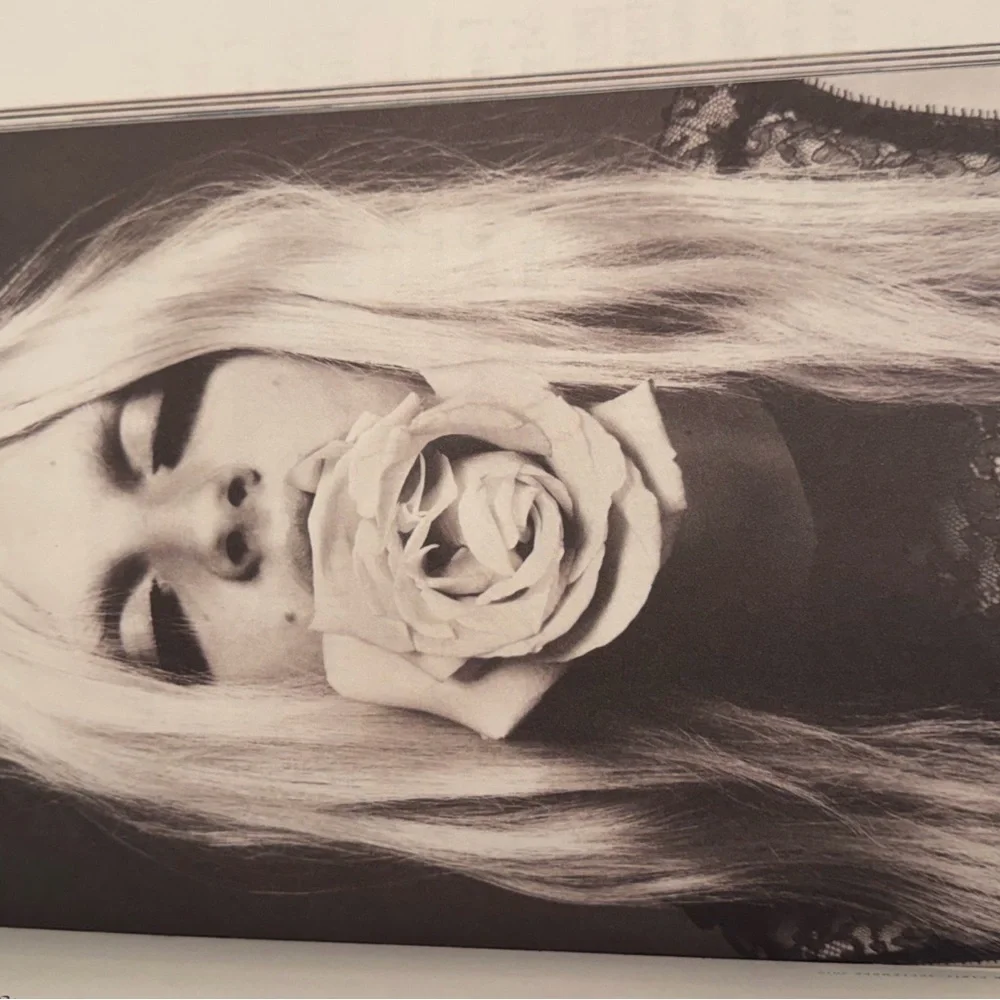 Carine Roitfeld Irreverent Book Set - Picture 16 of 16